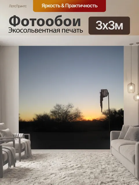 Фотообои мягкий закат