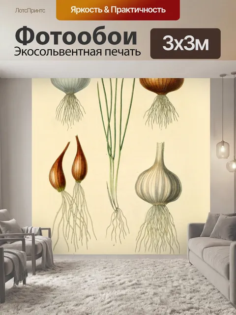 Фотообои Сад овощи винтаж старый