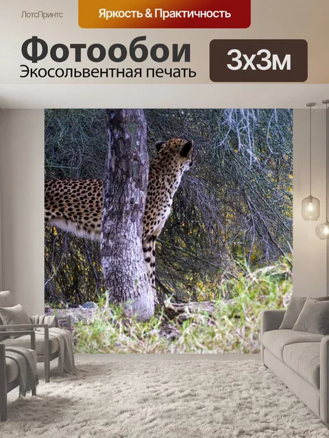 Фотообои пума