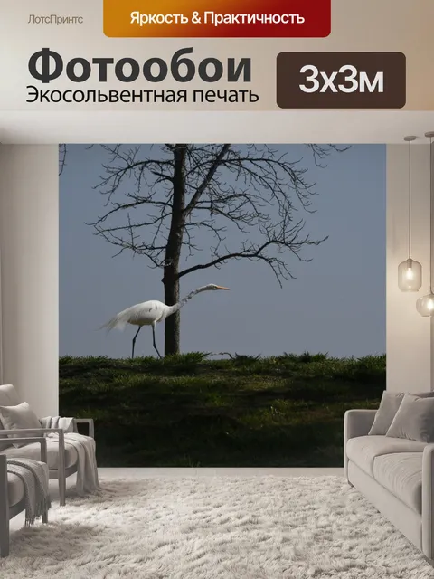 Фотообои Большая белая цапля