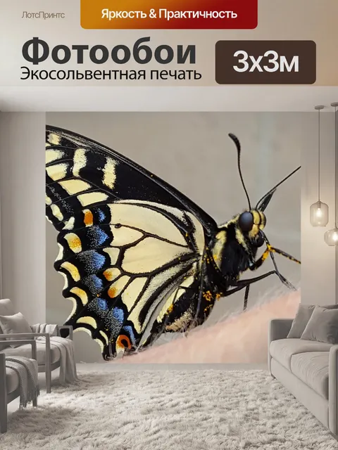 Фотообои Черная бабочка-парусник