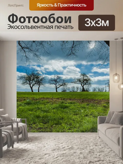 Фотообои Деревья