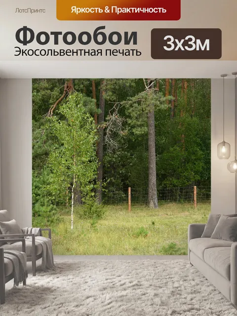 Фотообои Лес
