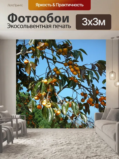 Фотообои Хурма