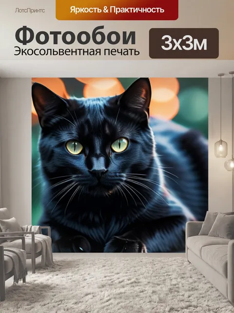 Фотообои с черным котом