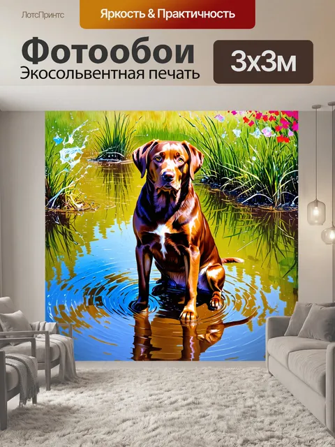 Фотообои лабрадор, сидящий в грязном водоеме с отражениями и брызгами воды, его взгляд озадачен