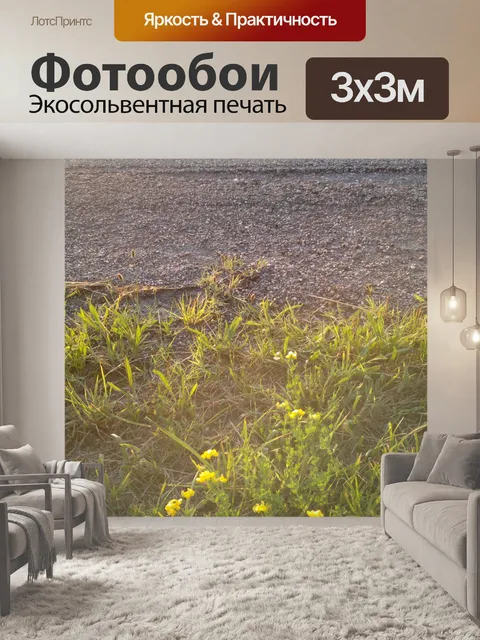 Фотообои Дорога