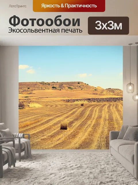 Фотообои Поля ячменя