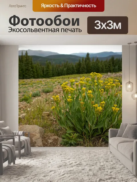 Фотообои Желтые цветы на горы Луг