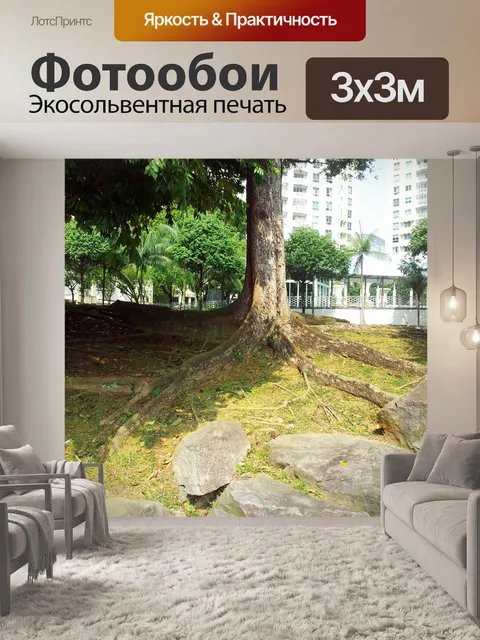 Фотообои тропических корня дерева