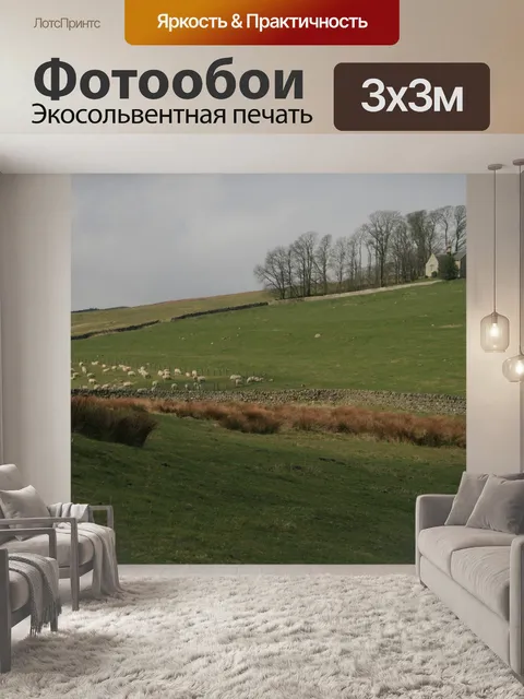 Фотообои Шотландия Уолл Овцы в сельской местности