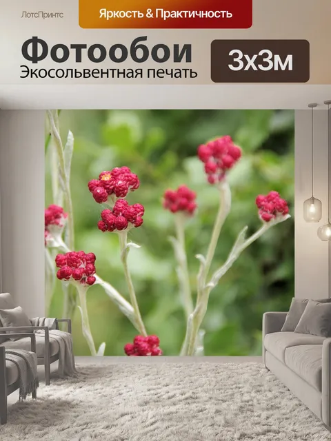 Фотообои Кровь Маккавеев на лугу