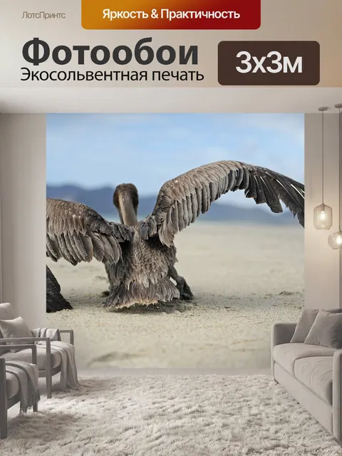 Фотообои Пеликан