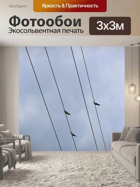 Фотообои Птица