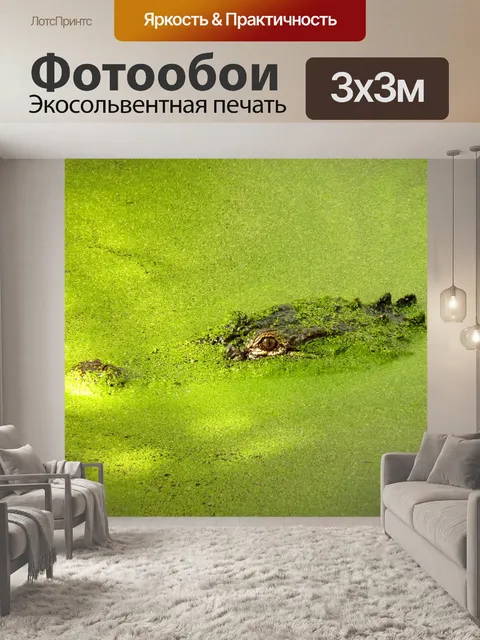 Фотообои Крокодил