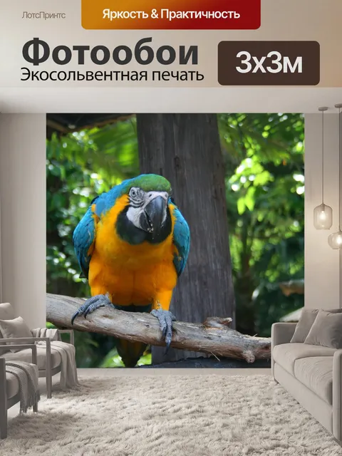 Фотообои желтый и синий ара попугай 3