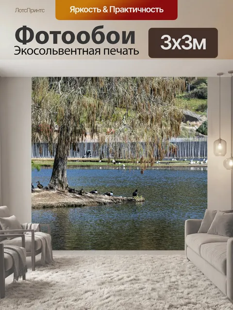 Фотообои лагуна для птиц