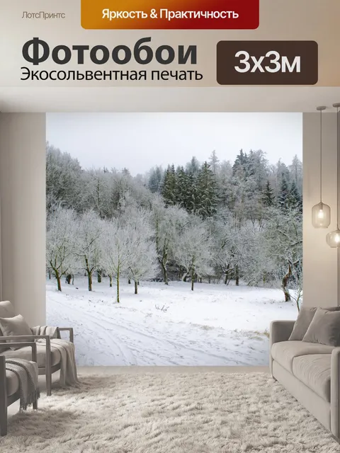 Фотообои Зимний лес