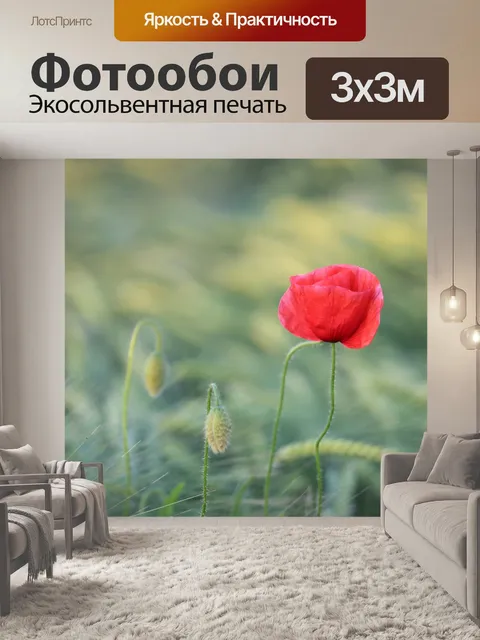 Фотообои Один красный мак