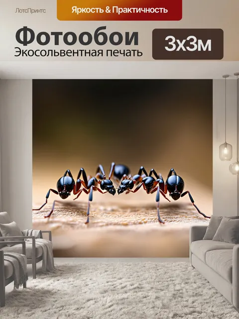 Фотообои черный, где черные муравьи создают эффект процесса природы, плавно соприкасающиеся с фоном