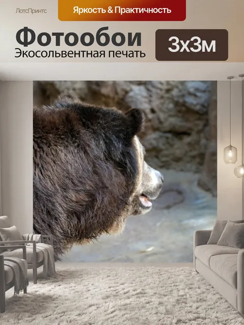 Фотообои Бурый медведь