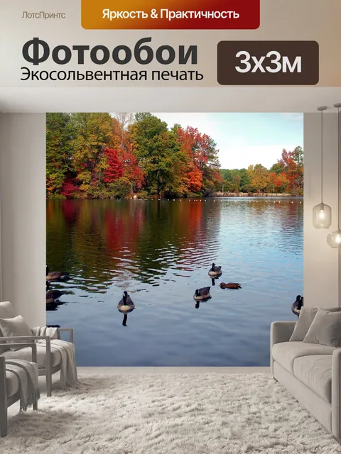 Фотообои Утки на озере