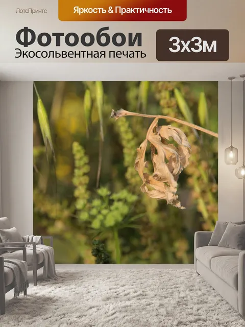 Фотообои Сухие листья фото