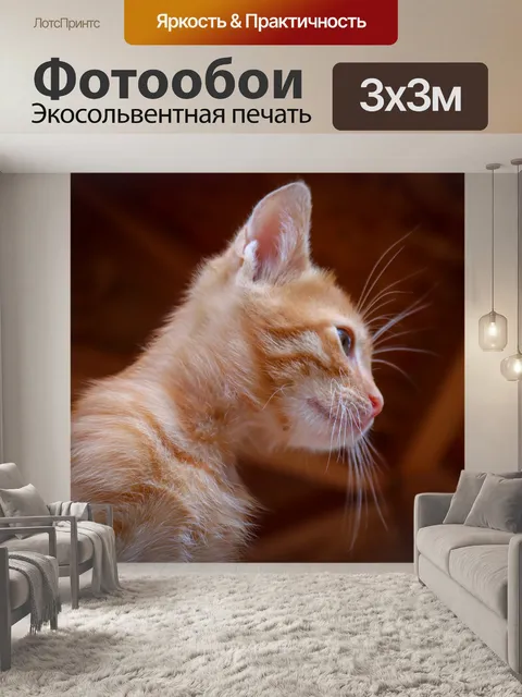 Фотообои Кот