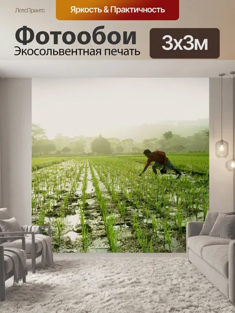 Фотообои Утром