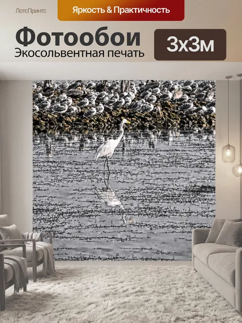 Фотообои Большая цапля и чайки