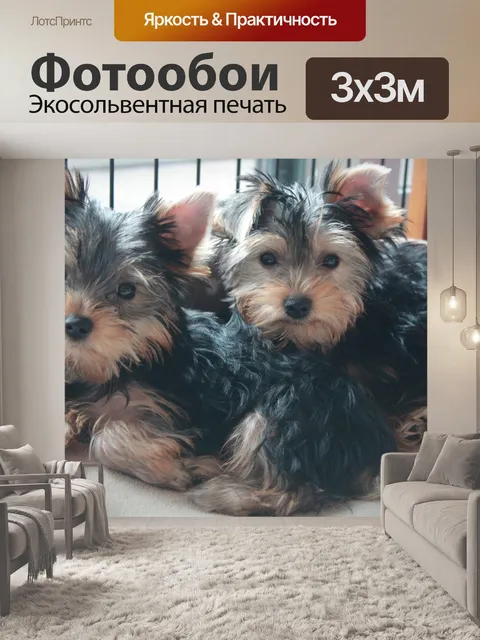 Фотообои Йоркширский терьер