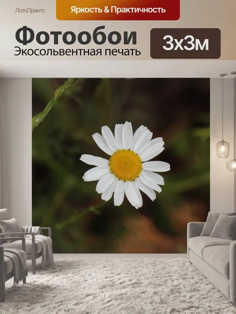 Фотообои Летом