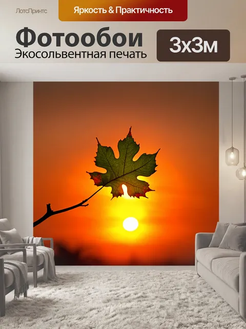 Фотообои листик перед ярким закатом