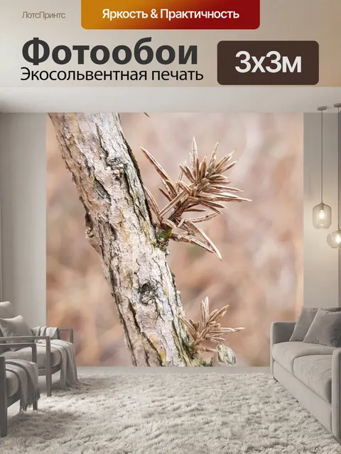 Фотообои Дерево