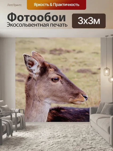 Фотообои Олень