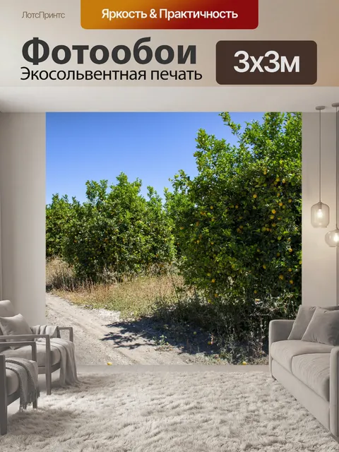 Фотообои Лимонные Деревья
