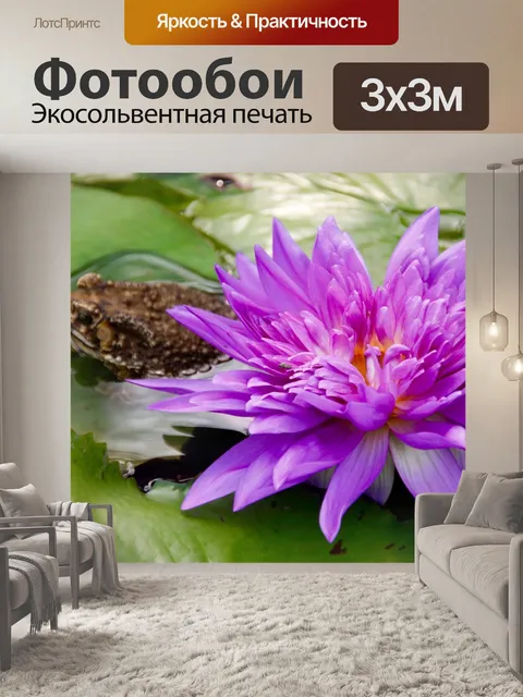 Фотообои Водяная лилия