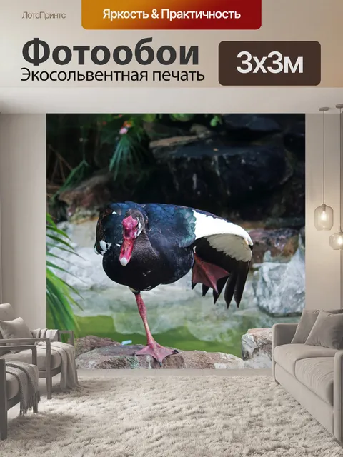 Фотообои балансирующая на ноге