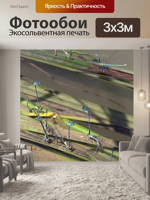 Фотообои Стрекозы