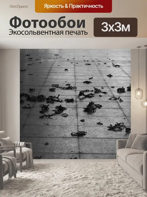 Фотообои Листья на асфальте