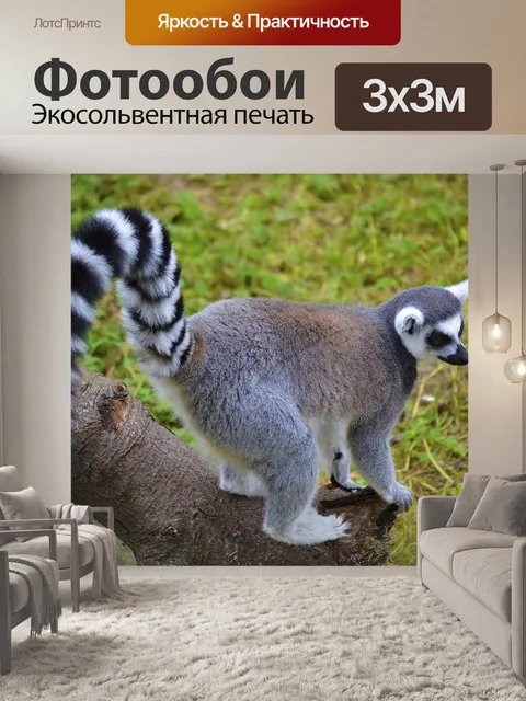 Фотообои Лемур