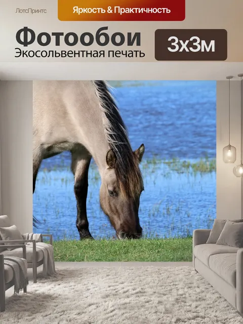 Фотообои Лошади
