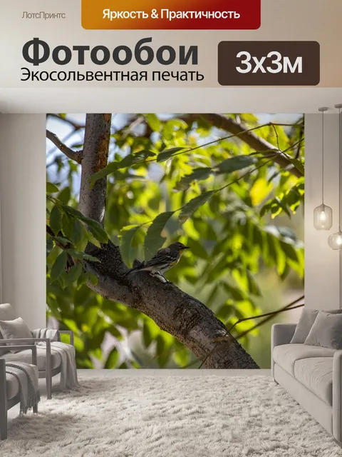 Фотообои Желтый дом зяблика