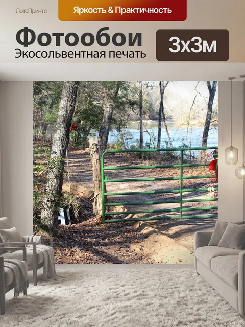 Фотообои Падение