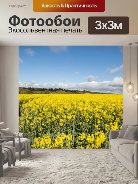 Фотообои Область желтого рапса
