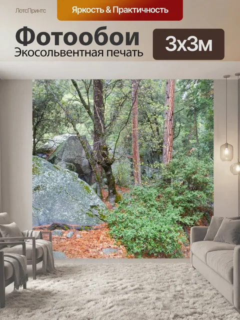 Фотообои Валуны в Калифорнии лес