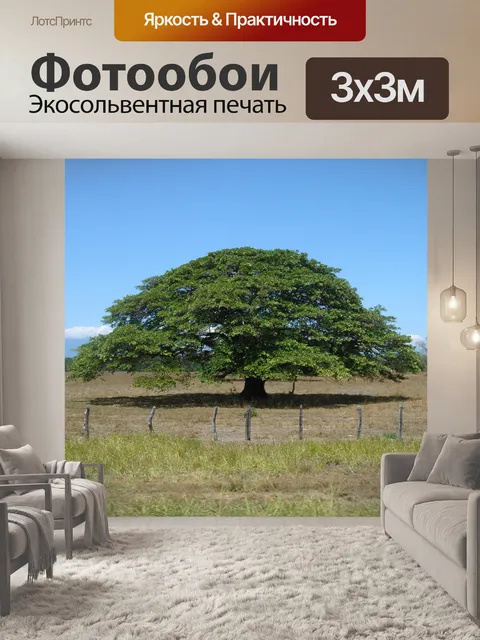 Фотообои Дерево