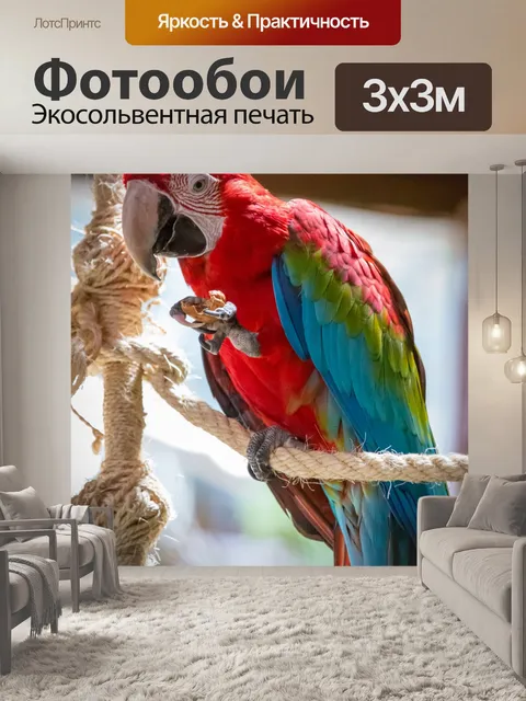 Фотообои Алый ара