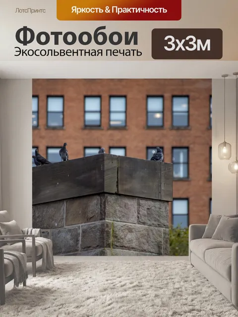 Фотообои Голуби на Дымоходе
