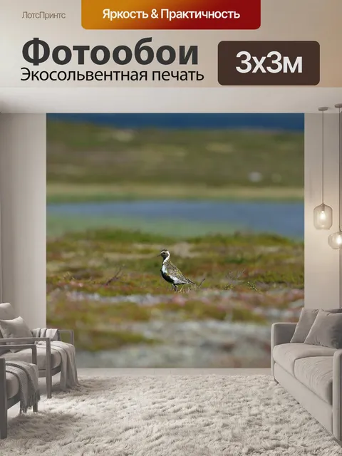 Фотообои Водоем